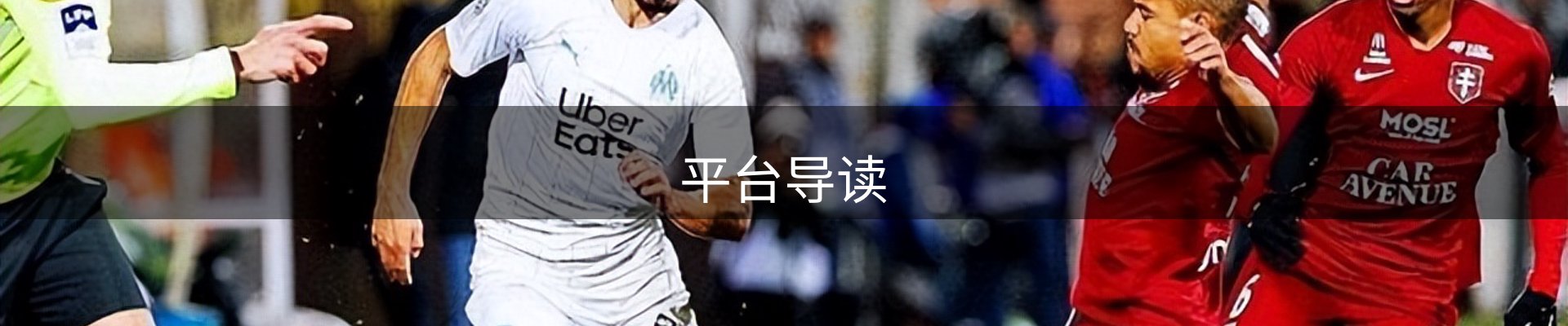 平台导读